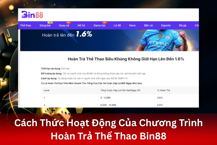 Đặc Quyền Cược Thủ Bin88 Nhận Hoàn Trả Thể Thao Bin88 1.6% Mỗi Ngày, Không Giới Hạn