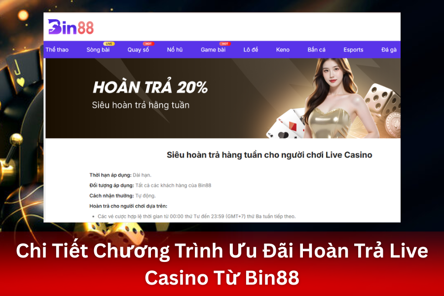 Gia Tăng Vốn Cược Mỗi Tuần Với Ưu Đãi Hoàn Trả Live Casino Từ Bin88