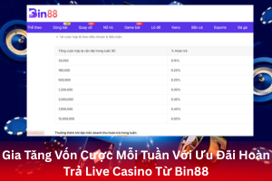 ảnh đại diện Gia Tăng Vốn Cược Mỗi Tuần Với Ưu Đãi Hoàn Trả Live Casino Từ Bin88
