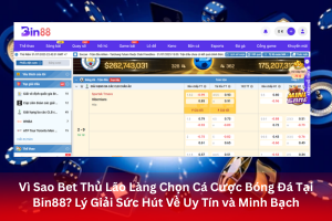 ảnh đại diện Vì Sao Bet Thủ Lão Làng Chọn Cá Cược Bóng Đá Tại Bin88? Lý Giải Sức Hút Về Uy Tín và Minh Bạch