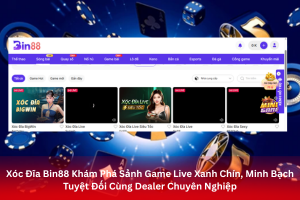 ảnh đại diện Xóc Đĩa Bin88 Khám Phá Sảnh Game Live Xanh Chín, Minh Bạch Tuyệt Đối Cùng Dealer Chuyên Nghiệp